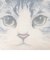 顔型クッション/Cat's NapTime