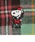 タータンチェック柄ストール/Afternoon Tea Original Tartans/PEANUTS