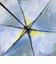 フラワー＆スカイクリア折りたたみ傘 雨傘