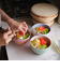 山中塗抗菌ボウル