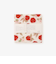 アップル抗菌かやふきん