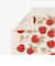 アップル抗菌かやふきん