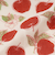 アップル抗菌かやふきん