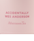 ステンレスボトル 480ml/Accidentally Wes Anderson