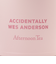 ステンレスボトル 480ml/Accidentally Wes Anderson