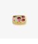 アップルピルケース