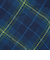 タータンチェック柄ポンチョ/Afternoon Tea Original Tartans