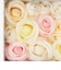 FLOWER BATH フラワーボックスL