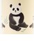 ワンタッチボトル 340ml パンダ