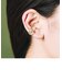 【WEB限定】イヤーカフセット
