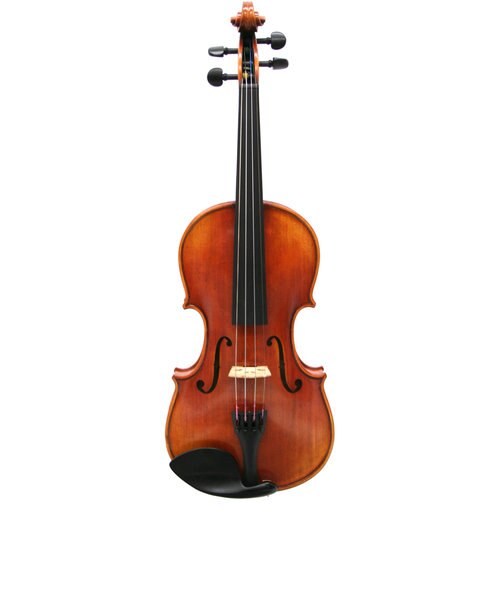 NSN60S 4/4 バイオリン 初心者セット 【マイスター茂木監修