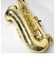 Axos 江川良子氏選定品 アルトサックス ゴールドラッカー 彫刻入り
