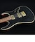 RG421HPAH Blue Wave Black　S/N：I200306192 【島村楽器独占販売モデル】