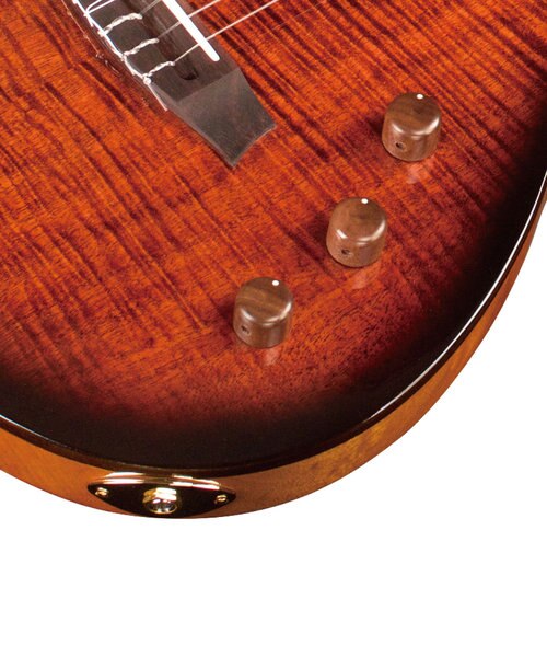 STAGE GUITAR エレガットギター エレクトリックナイロンギター