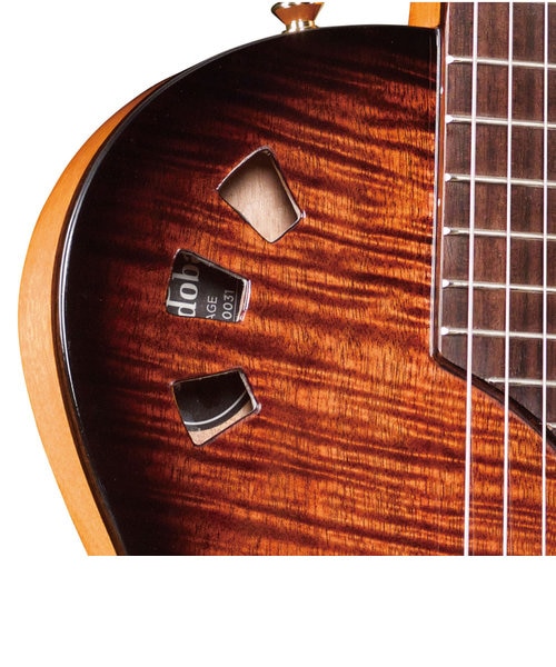 STAGE GUITAR エレガットギター エレクトリックナイロンギター