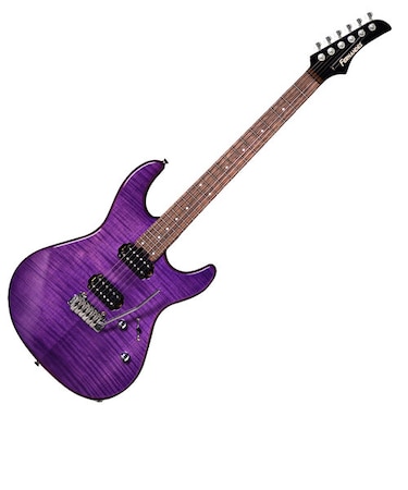 NTG-LTD STP SEE-THROUGH PURPLE エレキギター シースルーパープル 紫 