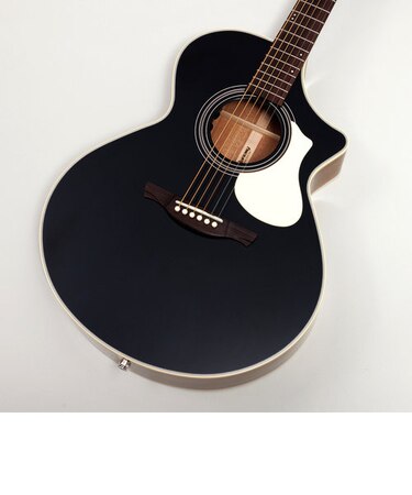 NT-C4 BLK エレアコ 日本製 アコースティックギター Fishman 