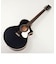 NT-C4 BLK エレアコ 日本製 アコースティックギター Fishmanピックアップ ブラック 黒