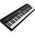 GO：PIANO GO-61P 61鍵盤