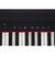 GO：PIANO GO-61P 61鍵盤