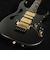 PIA3761 Onyx Black　S/N：F2521079 STEVE VAI Newシグネチャーモデル