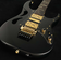 PIA3761 Onyx Black　S/N：F2521079 STEVE VAI Newシグネチャーモデル