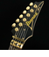 PIA3761 Onyx Black　S/N：F2516283 STEVE VAI Newシグネチャーモデル