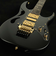 PIA3761 Onyx Black　S/N：F2516283 STEVE VAI Newシグネチャーモデル
