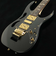 PIA3761 Onyx Black　S/N：F2516283 STEVE VAI Newシグネチャーモデル