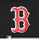 【LTXC】【MLB】【吸水速乾/さらさら】【綿100％】クロップドT