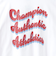 【Champion】【綿100％】バックプリントBIG半袖Tシャツ