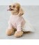 【DOG】チュールスカートドッキングワンピ