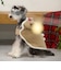 【DOG】クリスマスポンチョ
