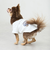 【リンク】【DOG】乗り物アップリケTシャツ