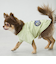 【リンク】【DOG】乗り物アップリケTシャツ