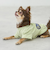 【リンク】【DOG】乗り物アップリケTシャツ