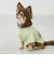 【リンク】【DOG】乗り物アップリケTシャツ