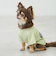 【リンク】【DOG】乗り物アップリケTシャツ