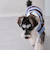 【リンク】【DOG】ラガーシャツ