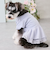 【リンク】【DOG】シアードッキングワンピ