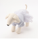 【リンク】【DOG】シアードッキングワンピ