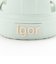 igor  SURFI