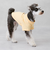 【リンク】【DOG】【接触冷感】刺しゅう半袖Tシャツ