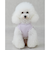 【リンク】【DOG】【水陸】フリルタンク