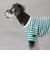 【リンク】【DOG】【接触冷感】ボーダーTシャツ