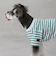 【リンク】【DOG】【接触冷感】ボーダーTシャツ