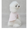 【リンク】【DOG】【接触冷感】ボーダーTシャツ