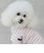 【リンク】【DOG】【接触冷感】ボーダーTシャツ