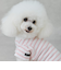 【リンク】【DOG】【接触冷感】ボーダーTシャツ