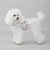 【DOG】【SWIM】肩フリル柄タンク
